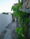 Kliknut�m zv�t��te na obr�zek s vysok�m rozli�en�m