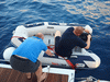 Kliknut�m zv�t��te na obr�zek s vysok�m rozli�en�m